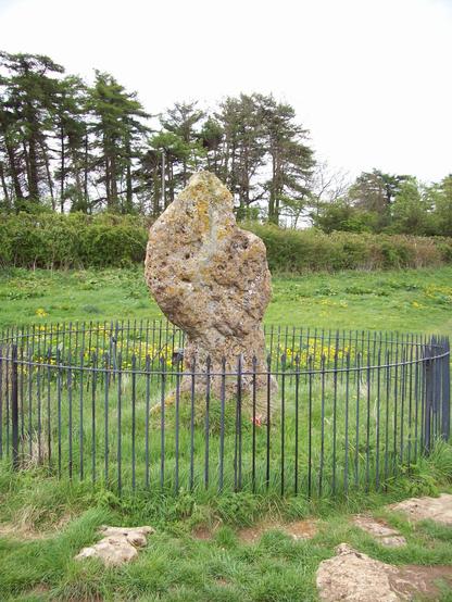 A large, moss-covered standing stone surrounded by a black iron fence, set in a grassy area with wildflowers and trees in the background. The sky is overcast.