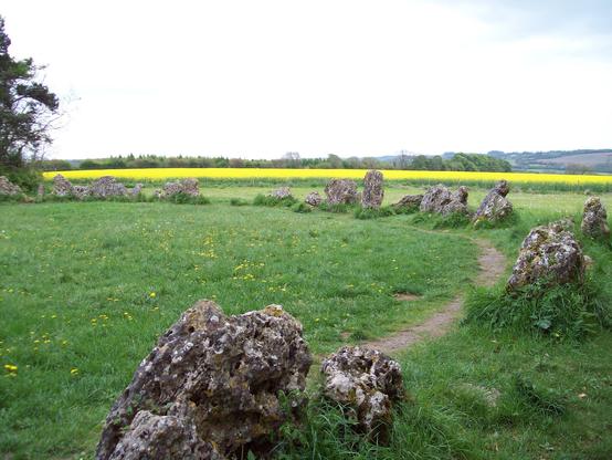 A grassy area featuring a circle of standing stones, surrounded by wildflowers. In the background, there's a field of bright yellow plants and rolling green hills under a cloudy sky.