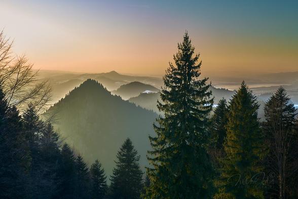 Sunset in the Pieniny Mountains. View from the meadow under Trzy Korony (Three Crowns) towards the west. In the foreground are the tops of coniferous trees, and behind them the mountain peaks, misty and illuminated by the warm light of the setting sun. On the right side above, the frozen Czorsztyn Lake. Above the mountains, a blurry orange-blue sky.