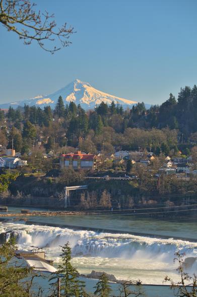 A large, snow-capped mountain looms over a mixture of conifer trees. Buildings of a small town can be seen above the banks of a river. The river is in the foreground; a wide, low waterfall is seen in the river.