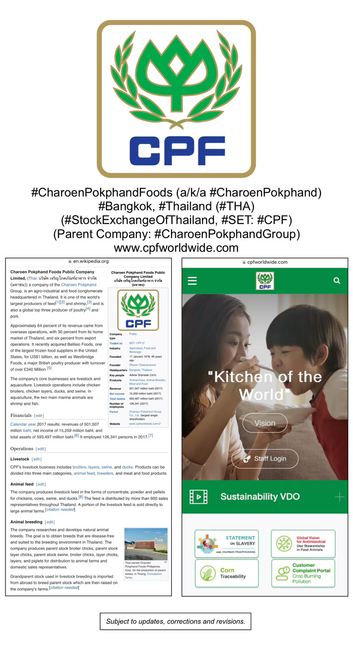 Logo and company information for Charoen Pokphand Foods (Bangkok, Thailand).