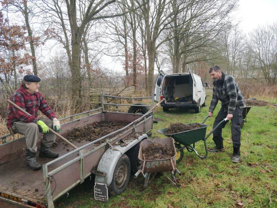 Foto van twee mensen die paardenkak uit een aanhanger scheppen.