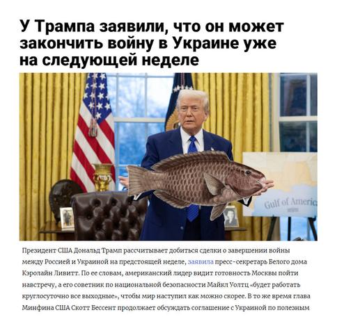 збирається випустити рибку в затоку