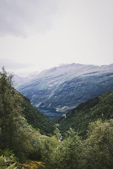 A breathtaking view of Norway's lush green valley, framed by trees and leading down to a serene fjord surrounded by towering mountains. The cloudy sky adds a dramatic touch to the scene.