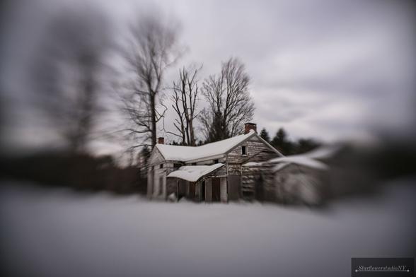 An abandoned farmhouse with tall trees behind it in a state park.
