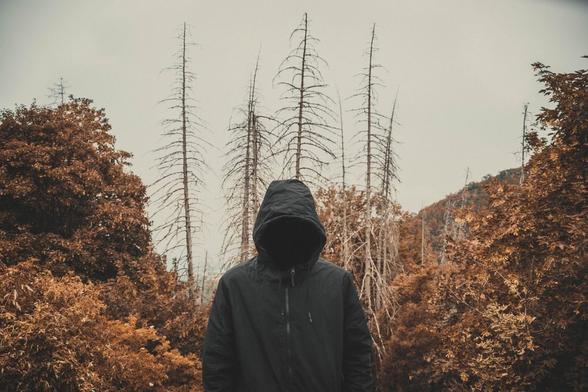 Un joven con una sudadera con capucha en un bosque de tonos marrones. La cara de la persona no se ve, como si fuera una persona invisible. Image by Vojtěch Kučera from Pixabay