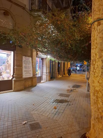 Una calle peatonal iluminada por la noche con árboles y edificios a ambos lados. El suelo está pavimentado con baldosas y hay algunas hojas caídas. En lo alto, la buganvilia hace las veces de pérgola.
