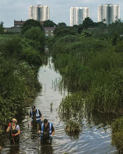 A wetland near housing developments