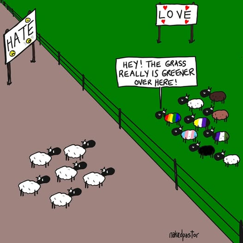 A cartoon depicts two groups of sheep separated by a fence. On the left, a group of white sheep stands on brown ground with a sign that says "HATE" featuring angry faces. On the right, a group of diverse sheep, including some with rainbow patterns, stands on green grass with a sign that says "LOVE" adorned with hearts. One sheep from the right side holds a sign that reads, "HEY! THE GRASS REALLY IS GREENER OVER HERE!" The cartoon is signed "nakedpastor" at the bottom.