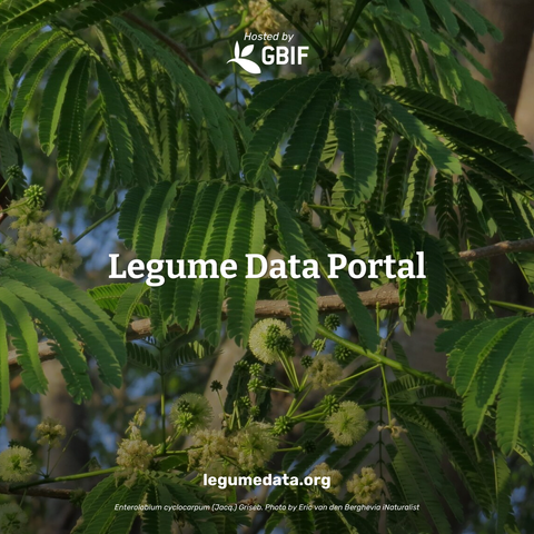 photograph of trees with the text legume data portal overlaid