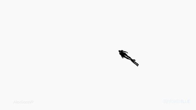 A diver, seen from below, as a dark shape floating in the wide empty white.