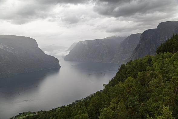 A mountain viewing point looking out over the tree-filled hillside down to a fjord that curves from the bottom left up towards the centre. On either side of it great, sheer, lumpy mountainsides form a barrier that disappears both under the low cloud and into a deep rainy mist that washes out the most distant view. It's a cold, damp scene with the only colour coming from the trees we're above and at the very edge of the grey fjord water a hundred or more metres below where houses can be seen lining the road.