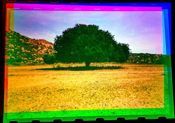A colorful photo of a beautiful tree in the distance with a rocky outcrop behind it. Under the tree, just visible, are some colorful goat ghosts.