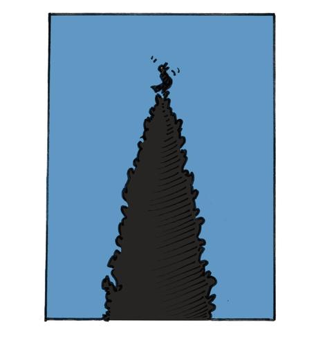 Tekening van een merel die bovenop een grote donkere conifeer in de blauwe avondschemering zingt
