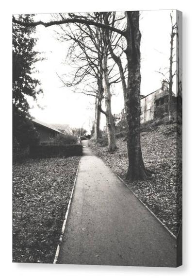 Black and white portrait photograph, seen as a box canvas print, showing a footpath alongside bare trees.