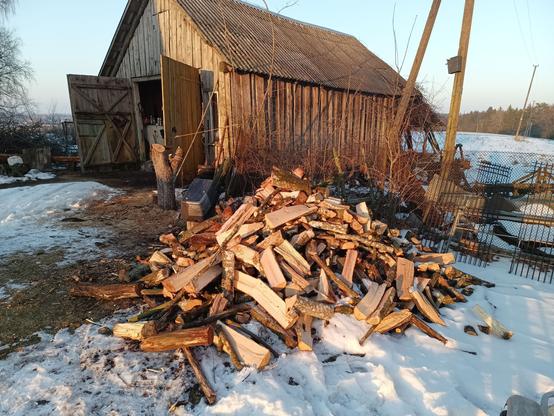 A pile of split firewood in front of a barn. The evening sun is shining on it, casting it in a nice reddish light. The ground behind is covered with chips and sawdust.