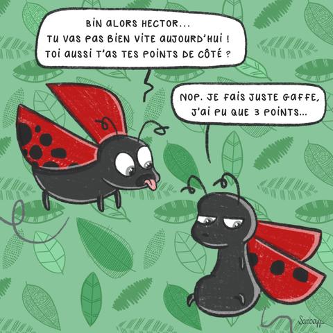 Dessin humoristique
On voit 2 coccinelles qui discutent.
La 1ère demande : Bha alors Hector... tu vas pas bien vite aujourd'hui. toi aussi t'as tes points de côté ? (Les points noirs de la coccinelles sont tous d'un côté > jeu de mot)
La 2ème répond : nop, je fais juste gaffe, j'ai plus que 3 points. (On voit seulement 3 points sur une de ses ailes > jeu de mot avec le permis à points)