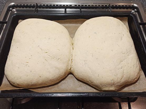 Zwei große, aufgegangene Teigstücke liegen nebeneinander auf einem mit Backpapier ausgelegten Backblech. Der rohe Teig hat eine leicht unebene Oberfläche mit kleinen Kräuterstückchen. In der Mitte sind die beiden Hälften zusammengewachsen. Das Backblech steht auf einem Gasherd mit einem Edelstahlrahmen.