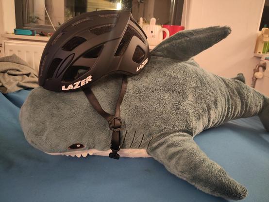 A Blåhaj cuddly shark sitting on a soft blue surface with a big bicycle helmet on their back.

Kagube made one if Hapi's humans really think about safety.... the other human made jokes about being a wannabe racing cyclist.