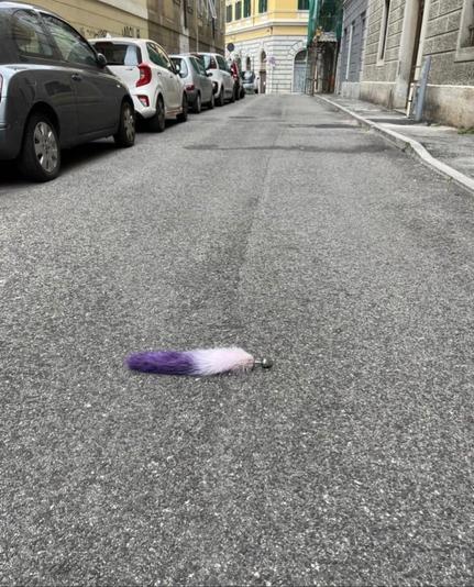 Photo of a metallic butt plug abandoned in the middle of a street with a white and purple colored tail on it. A row of cars can be seen parked on the left on the narrow city street. This photo is like a scene out of a fairy tale.
