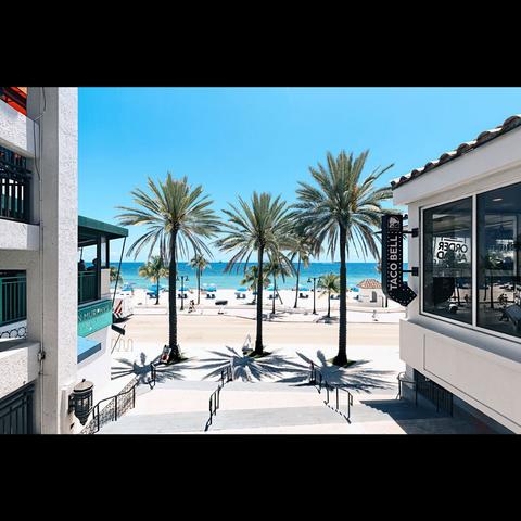 Florida beach with 3 palm trees and their shadow
Fort Lauderdal, Florida, USA