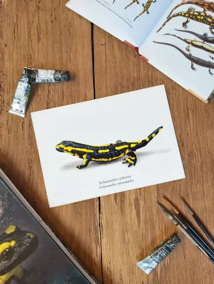Photo d'une illustration de salamandre avec matériel de peinture : pinceaux et tubes d'aquarelle