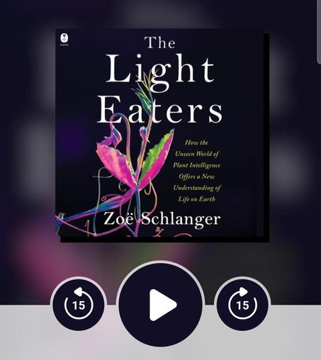Audiobook cover with play button. The Light Eaters. By Zoë Schlanger. How the unseen world of plant intelligence offers a new understanding of life on earth.