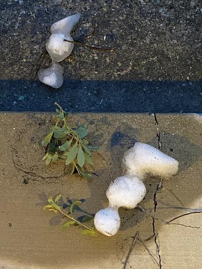 Color image of melting snow people on a porch and steps. Image shows the snow people having fallen over and melted, their former twig appendages now on the porch and step next to them, their snow bodies melting in the thaw.