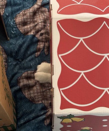 An overhead shot of a house capture two white furry feet poking out
