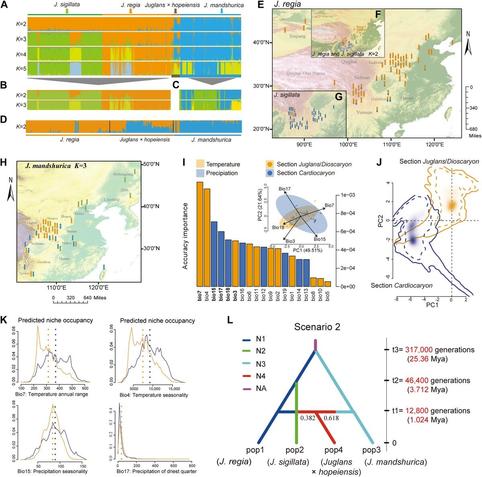 Panel of images illustrating datasets from analyses including population genetic structure, interspecific relationships, lineage differentiation, and speciation using 21 EST-SSR genetic markers.