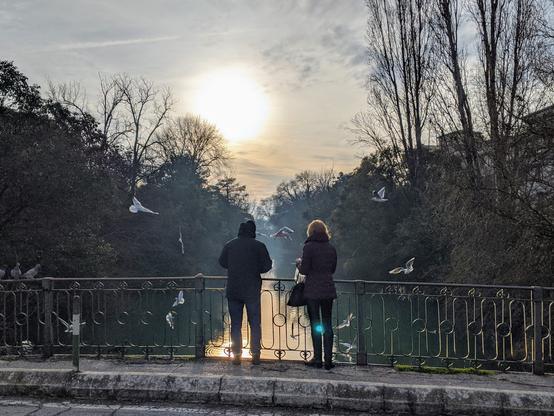 Couple feeding birds on a winter day in Padova, Italy