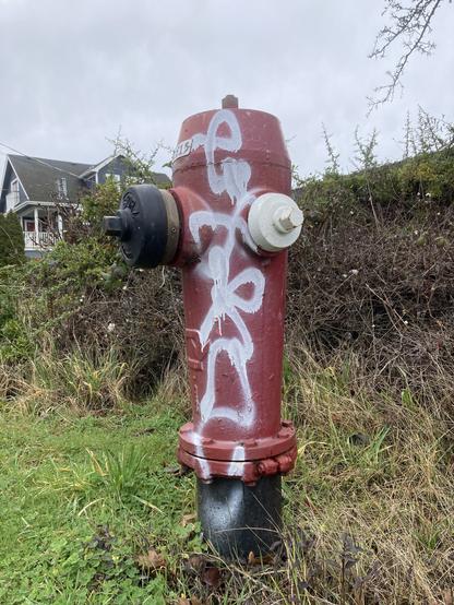 Red hydrant with unledgeable writing on it