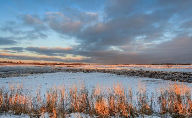 A winter scene of sunset light. The foreground is fringed with grasses that are illuminated by the last of the day's golden rays, striped by a shadow in a line through them all. The snowy field behind them is in shadow also, with a slightly curved bank that divides the frame. Behind is water or ice lit by that same golden light, and broken by some other brown banks that intersect the waterways. In the distance are some trees and the sky is heavy to the right as it reaches the horizon.
