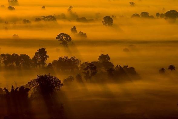 A colour image of fields with some trees deepened in the mist and lit by the low, warm early morning sun painting the scene orange. Photographed from a high spot located.