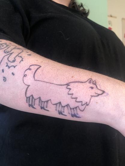 Tatouage sur le bras d’un chien avec des chaussures et un pantalon à rayures