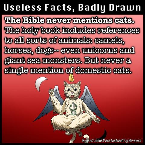 The Bible never mentions cats.
The holy book includes references to all sorts of animals: camels, horses, dogs- even unicorns and giant sea monsters. But never a single mention of domestic cats.