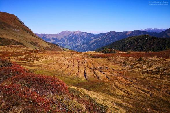 Bergwiese in herbstlichem rot/gelb. Im Hintergrund ein Gebirgszug.