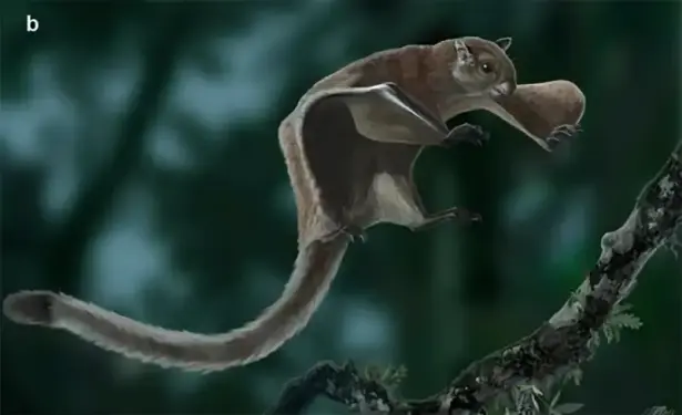 Illustration of a flying squirrel in air