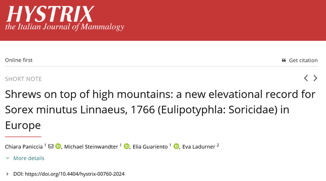 Screenshot of the paper's title and authors with information on the link and the journal.