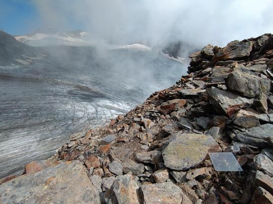 Photo of a high alpine sampling site close to glaciers at 3,300 m a.s.l. in the mountains of South Tyrol (Italy), where the new European record for detecting the pygmy shrew was set.