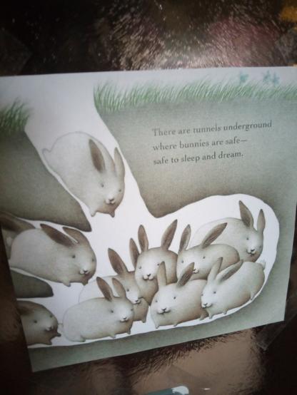 An einer Glastür hängt ausgedruckt und aufgeklebt ein Kinderbuchbild aus Peter McCarthys "Bunny Dreams". Viele süße, etwas kompakte Hasen/Kaninchen sind in einem Bau unter der Erde. Einige springen auch da erst grad rein. Als Text steht: "There are tunnels underground where bunnies are safe – safe to sleep and dream".