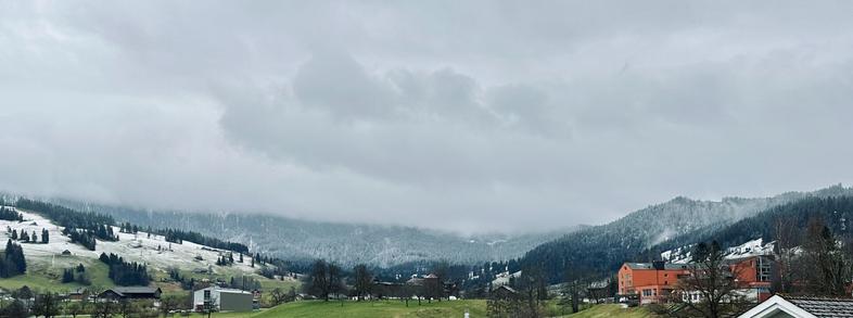 Fog obscures the upper part of the Rossberg, but in the visible lower portion there’s a clear dividing line between where the trees are frosted with snow and where they’re not.