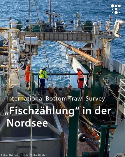 Foto eines Forschungsschiffes beim Einholen eines Fangs. Überschrift auf dem Foto: International Bottom Trawl Survey: „Fischzählung“ in der Nordsee. Fotocredits: „Thünen-Institut/Felix Bügler“