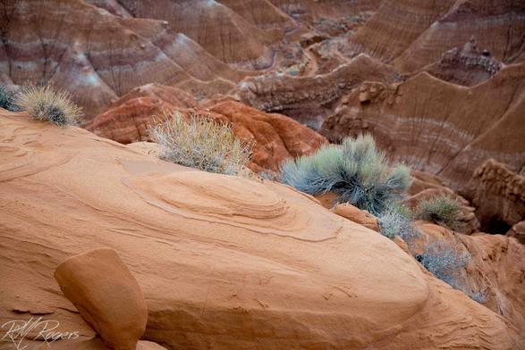 A pleasing natural composition of eroded rocks, desert plants, and colorfully stratified hills in the southern Utah desert.