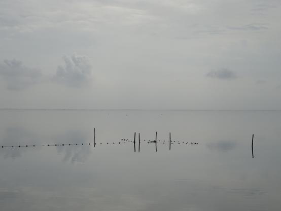 Sur l'étang du Vacarès en fin d'hiver, quelques piquets dans l'eau sur un paysage gris blanc où l'horizon est noyé. Quelques nuages se reflètent dans l'eau