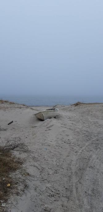 Dimma. Vatten. Sandstrand. Eka.