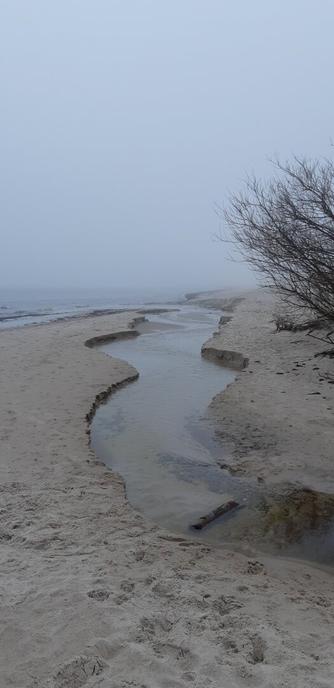 Litet vattendrag gräver sig genom sandstranden ut till havet.