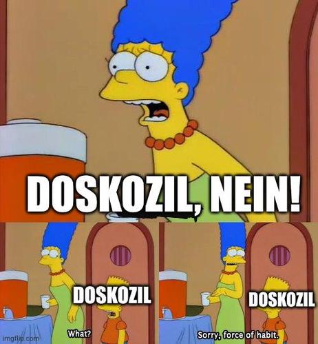 Bart no meme

Marge schreit "Doskozil nein!"
Bart als Doskozil sagt "What"
Marge sagt "sorry force of habit"