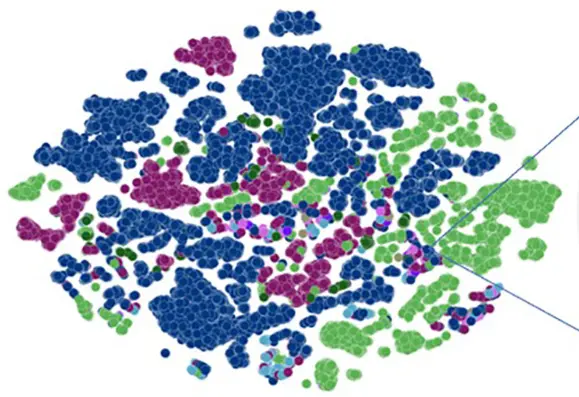 Blobs of color: blue, purple and green. Caption/credit: A detail from a genome-scale language model, or GenSLM. Researchers can use a GenSLM to track the evolution of COVID-19 and other infectious agents. Image courtesy of Arvind Ramanathan/Argonne National Laboratory.