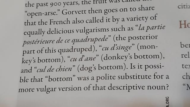 ...the French also called it by a variety of equally delicious vulgarism such as "la partie posterierer de ce quadrupede" (the posterior part of this quadruped), "cu d'singe" (monkey's bottom) "cu d'ane" (donkey's bottom), and "cul de chien" (dog's bottom)